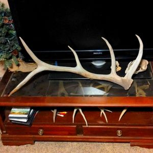 Antler shed